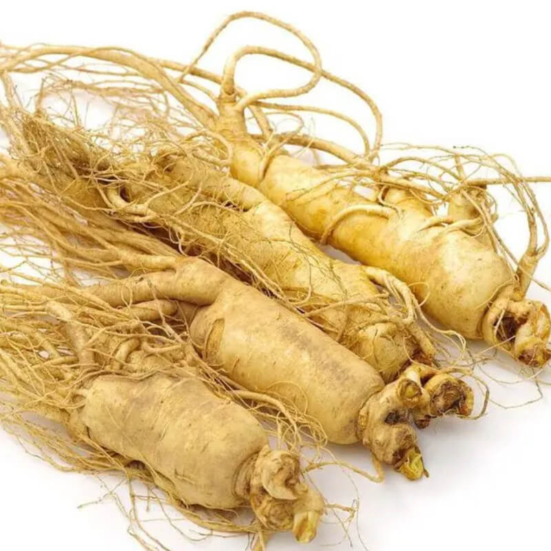 Ginseng Extract