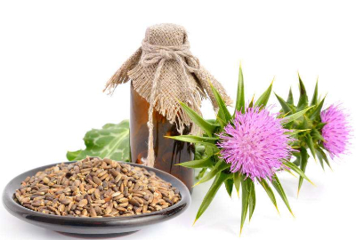 Profile of Milk Thistle Extract